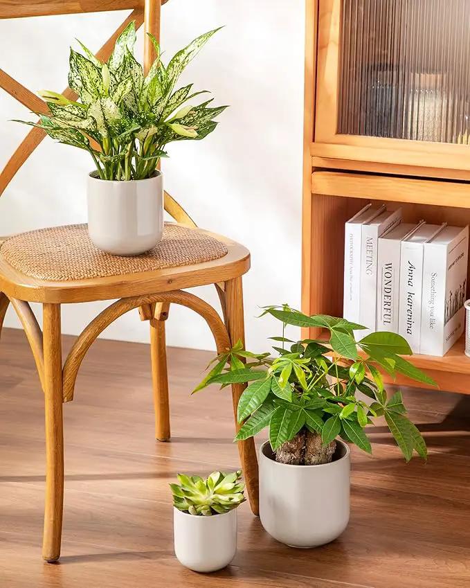 vancasso Ceramic Plant Pots, 4+5+6 inches, Set of 3, Planters with Drainage Hole, Flower Pots Planters Pots for Indoor Plants, Modern Indoor Decorative Garden Pot, Home Decor, Gray by GreenHaven Gardens