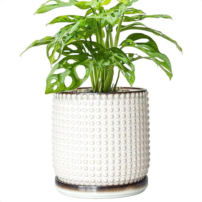 D'vine Dev 6 Inch Ceramic Beaded Stoneware Planter Pot - Flower Pot with Drainage Holes and Saucers for Indoor Succulent Plants or Flowers, Smoked White, 27-C-X-1 by GreenHaven Gardens
