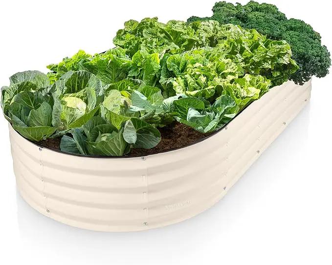 Galvanized Raised Garden Beds Outdoor // 6×3×1 ft Planter Raised Beds for Gardening, Vegetables, Flowers // Large Metal Garden Box // Patented Tool-Free Design (White) by GreenHaven Gardens