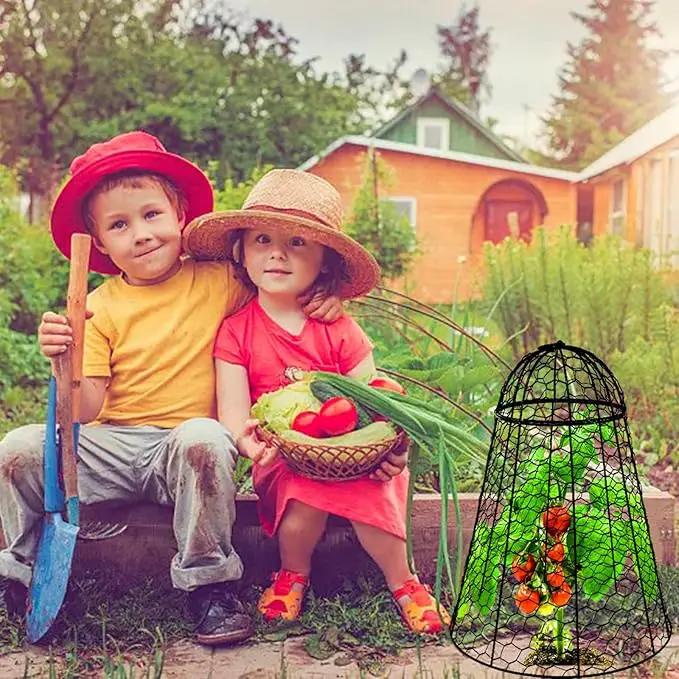 Garden Cloches for Plants Extra Large Sapbontchi Garden Cloche Chicken Wire Cloche for Plants Cages Cover Plant Protectors from Animals in Outdoor Vegetable Garden Set of 6 Plant Cloche 20" H x 12" D by GreenHaven Gardens