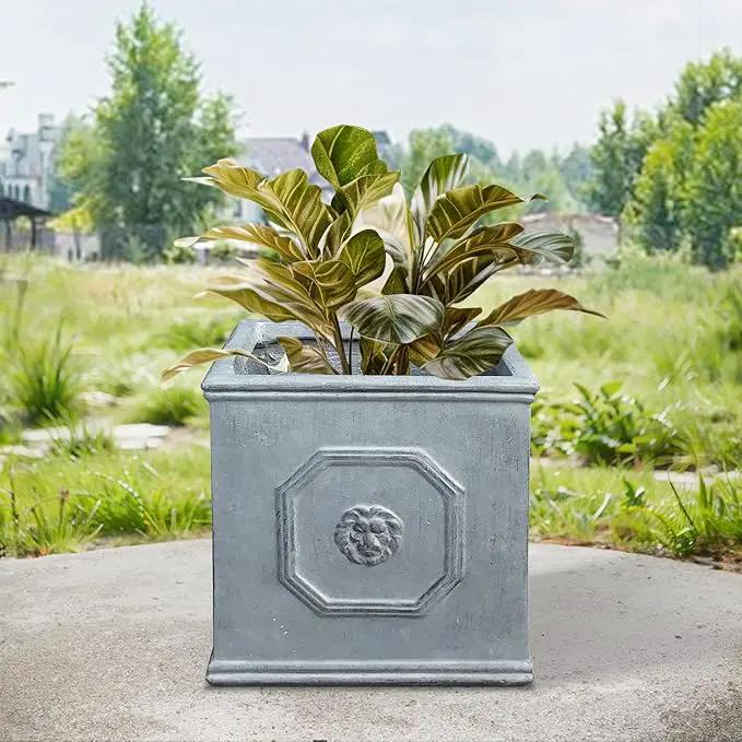 Kante Square Lion Head Concrete Planter, Classic English Style Plant Pot with Drainage Hole and Rubber Plug for Indoor Outdoor Garden Patio Home, 12.6"x12.6"x12.6" Gravel Gray by GreenHaven Gardens