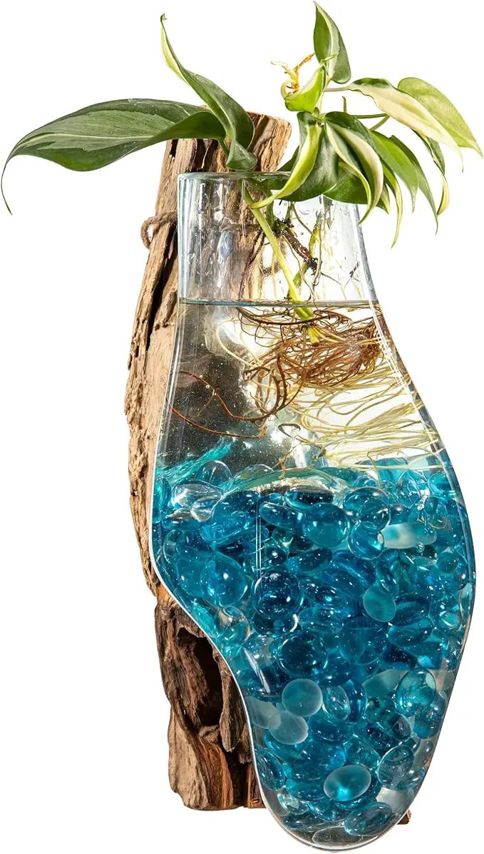 Cape Craftsmen Wall Mounted Molten Glass Hanging Terrarium on Driftwood, Indoor Wall Planter Vase on Wood, Propagation Station for Hydroponics Plants, Succulent Pot by GreenHaven Gardens