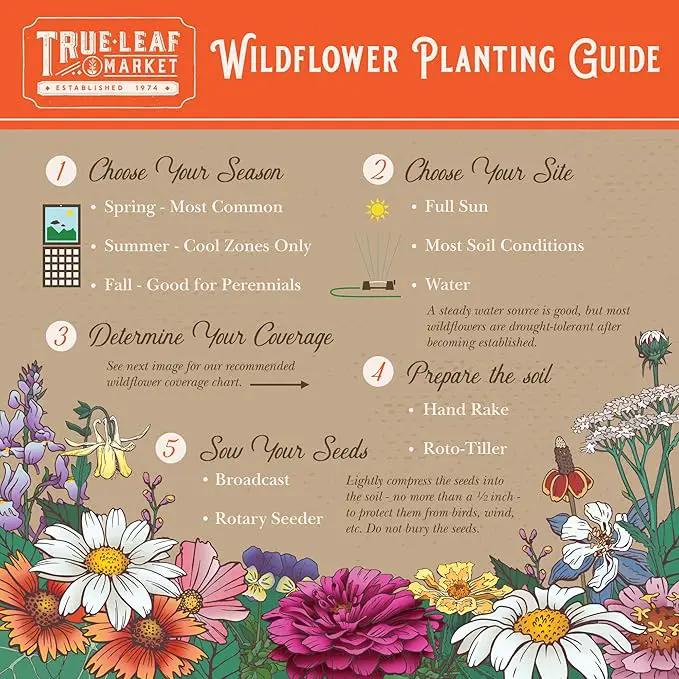Northeastern Wildflower Seeds Bulk – 1 lb, 640,000+ Seeds – Annual & Perennial Wildflower Mix with Native Northeast Flowers – Regional Pollinator Flower Seed for Garden & Meadow by GreenHaven Gardens