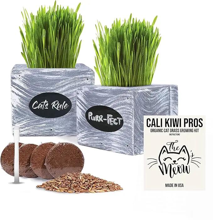 Cat Grass for Indoor Cats Kit – Best Value Organic Seed & Soil for 3 Growing Cycles, Natural Hairball Remedy & Cat Gifts (White Wash) by GreenHaven Gardens