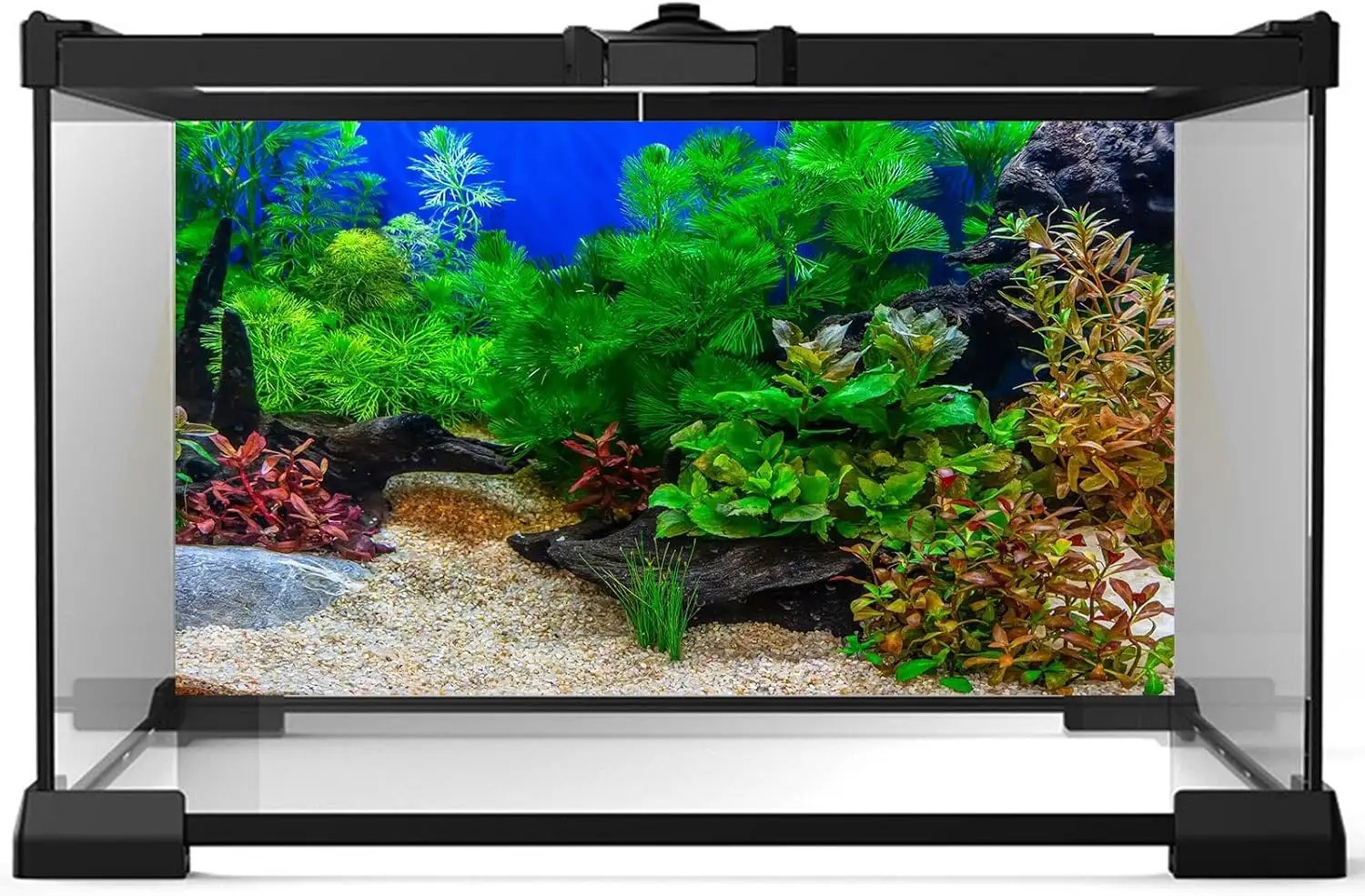 Aquarium Background Underwater Grass Leaves with Pebble Fish Tank Background Vivid Green Aquatic Plant Terrarium Background Stone River Bed Dead Wood Tank Background 36x18in by GreenHaven Gardens