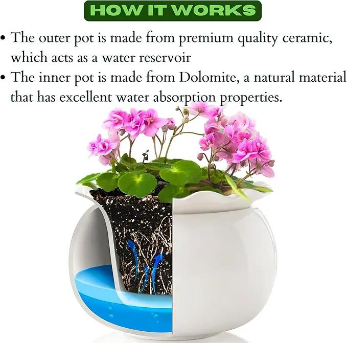 African Violet Pots 6 Inches Ceramic, Effortless Self Watering Pots for Indoor Plants for Busy Plant Lovers, Easy Plant Self Watering Pot, Plant Pots, Flower Pot, Plant pots Indoor by GreenHaven Gardens