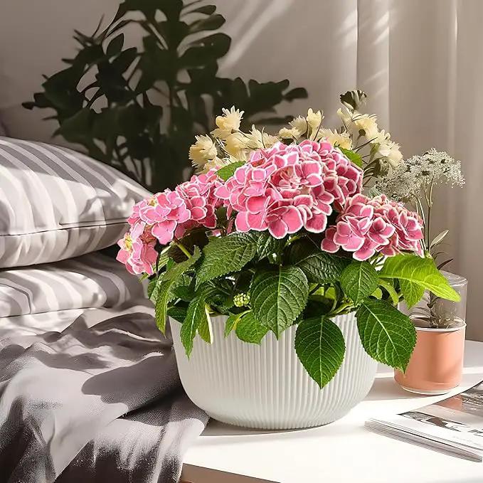 T4U 10 Inch Self Watering Pots for Indoor Plants, Plastic Plant Pots with Drainage Hole, Large Flower Pots for Indoor Outdoor Plants Cactus, Garden, Set of 2, White