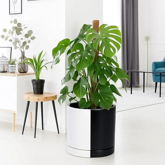 D'vine Dev 12 Inch Ceramic Planter Pot with Drainage Hole and Saucer, Indoor Cylinder Round Planter Pot, Split Monochrome Black & White, 94-O-F-0 by GreenHaven Gardens