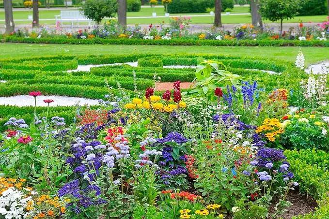 10000+ Perennial Mix Wildflower Seeds 16 Assorted Varieties of Heirloom Flower -1oz Zinnia Poppy Crimson Clover Milkweed Lupine Marigold Mexican Hat Sage Nasturtium by GreenHaven Gardens