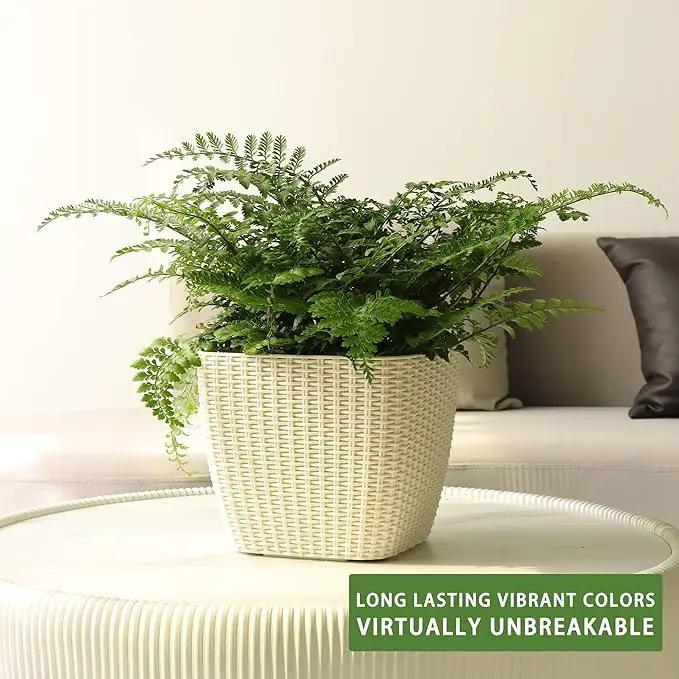 Dexceder 9x8 Self Watering Planter Indoor Outdoor, Inner Mat Design, Thickened Table Flower Plant Pot with Water Level Indicator (Ivory White Rattan) by GreenHaven Gardens