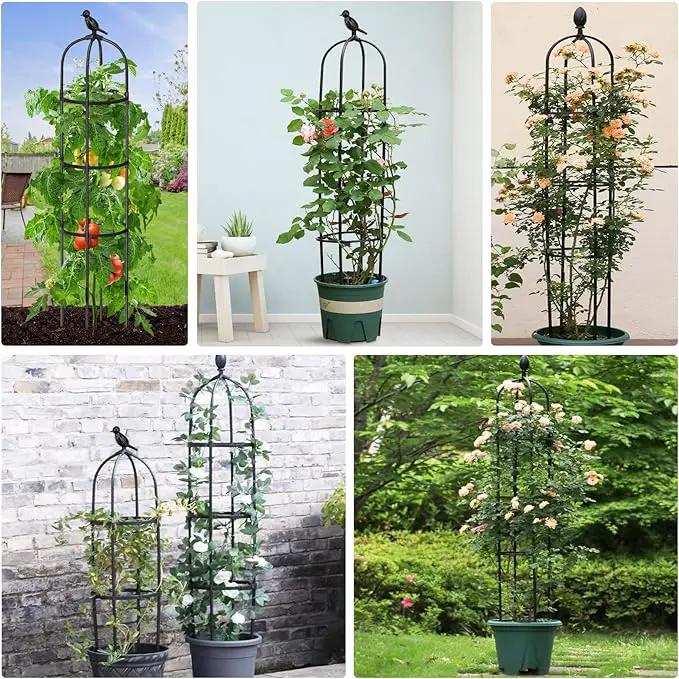 2 Pack Garden Obelisk Trellis for Climbing Plants Outdoor, 6.6FT Tall Rustproof Plant Trellis Climbing Plant Support, Garden Tower Trellis for Potted Plant Flowers Vegetable Vine Indoor by GreenHaven Gardens