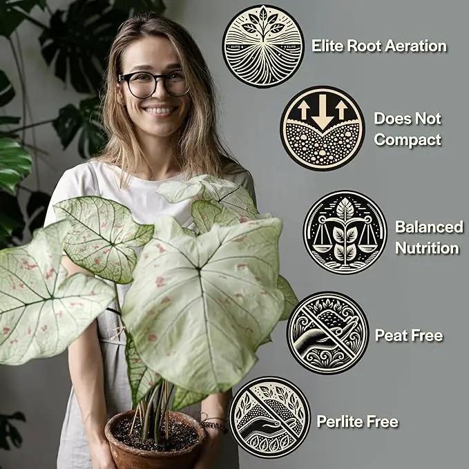 Craft Aroid Potting Mix- Elite Alocasia, Philodendron, Monstera Soil Mix, Chunky, Well Draining Potting Soil for Indoor Plants, All Tropical Plants & Houseplants, Synthetic & Peat Free 1QT by GreenHaven Gardens