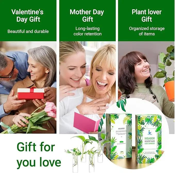 Ivolador Wall Plant Propagation Station Hanging Glass Planter Vase Terrarium Container Cylinder Shape Perfect for Propagating Hydroponic Plants Home Office Garden Decor Wedding-4PCS by GreenHaven Gardens