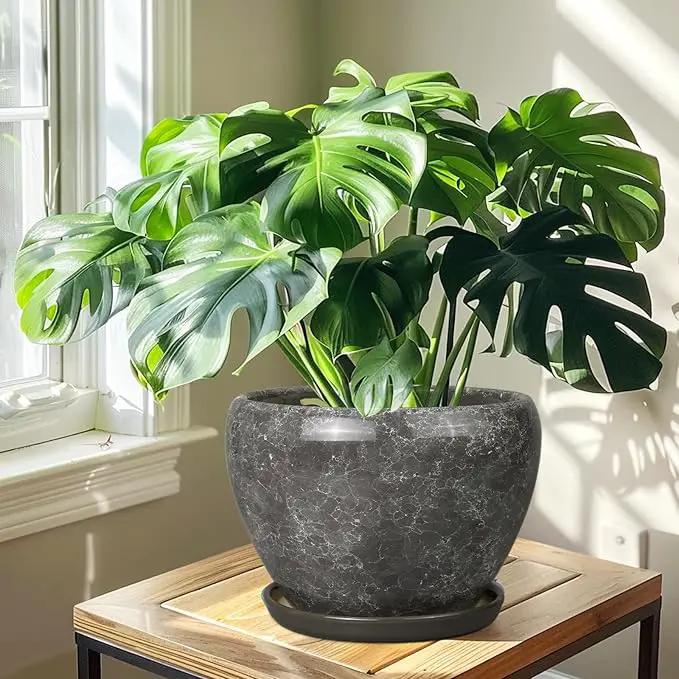 Ceramic Planters for Indoor Plants - 10 Inch Plant Pot with Drainage Hole and Saucer, Large Flower Pot for Home Decor, Gray by GreenHaven Gardens