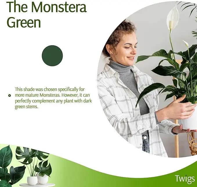 Stackable Plant Support Stakes, Stem Holder Structure for Indoor & Outdoor Use, Garden Accessories for Climbing & Potted Plants, Trellis Alternative - Monstera (Dark Green), 10 Pack, 17" L by GreenHaven Gardens
