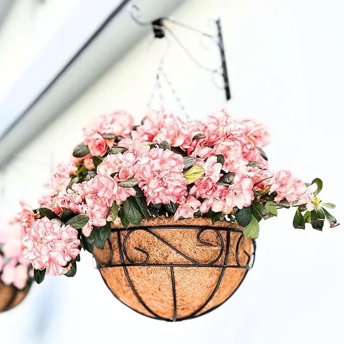 LaLaGreen Hanging Planter for Outdoor Plants (6 Pack, 16 Inch) Hanging Baskets with Coco Liner, Metal Wire Flower Basket Pots with Hook Hanger Balcony Porch Farmhouse Country Style Garden Decor by GreenHaven Gardens