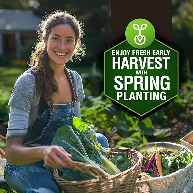 HOME GROWN 6000 Vegetable Seeds for Planting: 12 Spring Varieties of Garden Vegetables in Seed Packets, Garden Seeds for Garden Plants or Hydroponic Seeds - Heirloom Seeds - Non GMO by GreenHaven Gardens