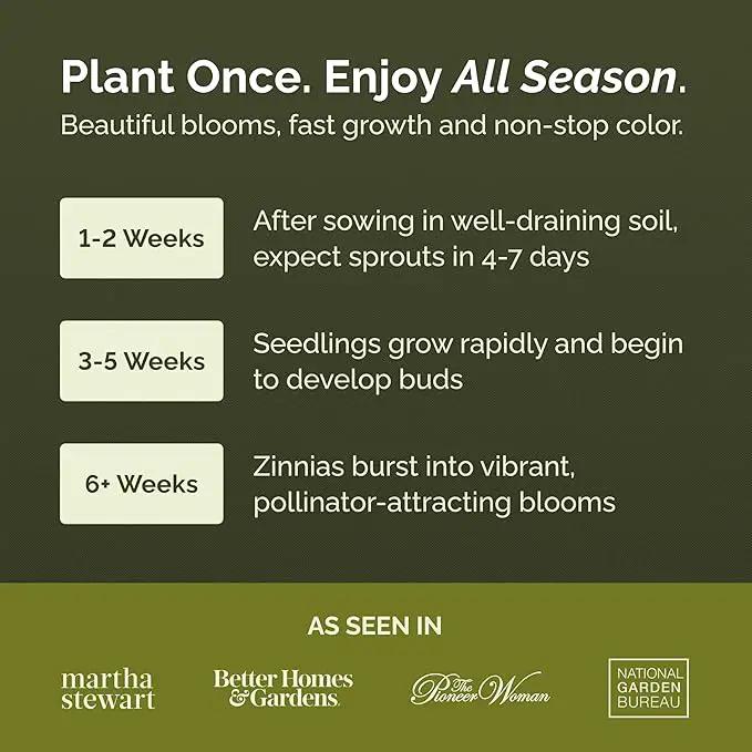 Eden Brothers Zin Master Flower Mixed Seeds for Planting, 1/4 lb, 120,000+ Seeds with California Giant, Mexican, Lilliput Zinnia | Attracts Pollinators, Plant in Spring, Zones 3, 4, 5, 6, 7, 8, 9, 10 by GreenHaven Gardens