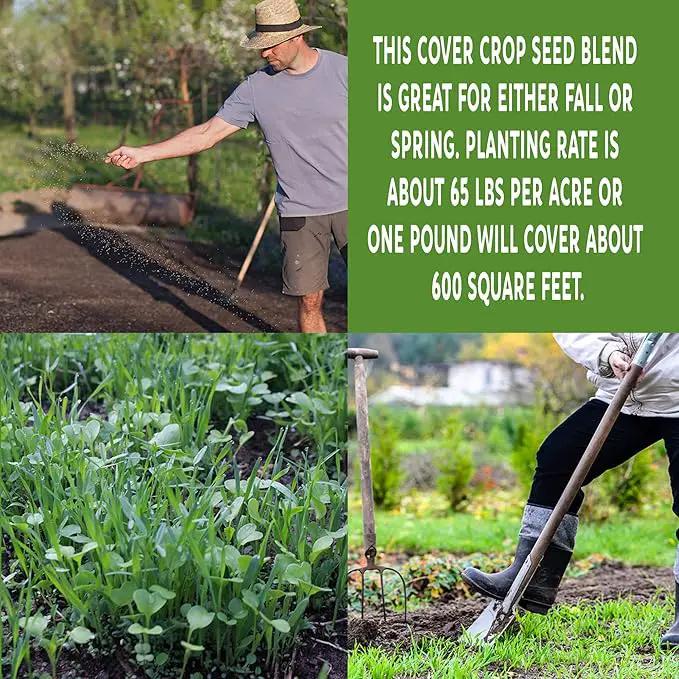 No-Till Garden Farm and Garden Cover Crop Mix Seeds - 5 Lbs - Blend of Gardening Cover Crop Seeds: Hairy Vetch, Daikon Radish, Forage Collards, Triticale, More by GreenHaven Gardens