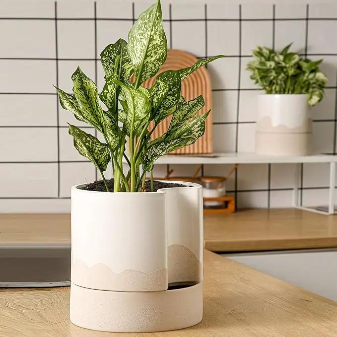Nihow Self Watering Plant Pot: 8 Inch Ceramic Planter with Drainage Hole & Water Storage Plus for Indoor & Outdoor Plants - Cylinder Round Flower Pot for Succulent/Herbs/Violets - White & Wave Nature by GreenHaven Gardens