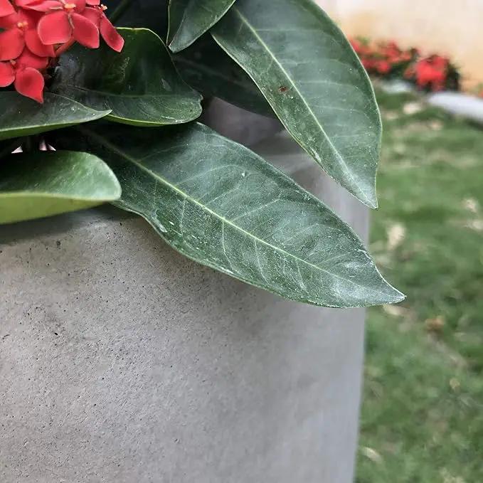 Kante 18 Inch Dia Round Concrete Planter, Indoor Outdoor Large Plant Pot with Drainage Hole and Rubber Plug for Home Patio Garden, Weathered Concrete by GreenHaven Gardens