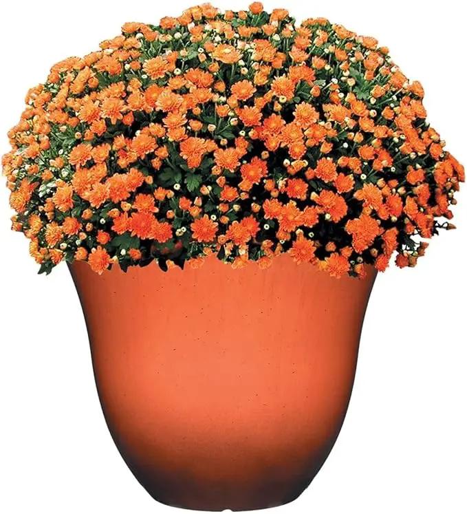 Classic Home and Garden Honeysuckle Resin Flower Pot Planter, Orange Ember, 15" by GreenHaven Gardens