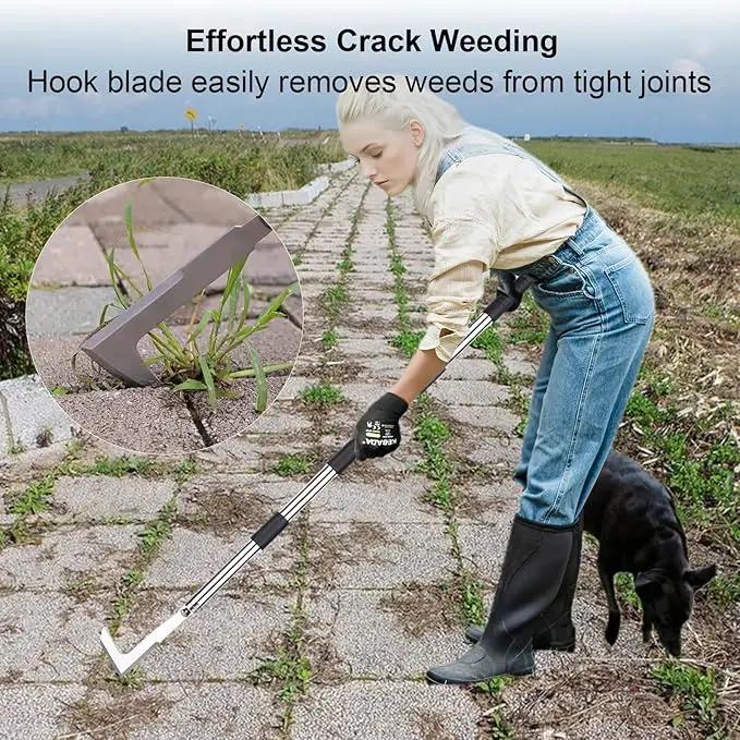 Long Handle Crack Weeder Tool Set with Adjustable 63 inch Handle, 2-in-1 Stainless Steel Crevice Weeding Tool & Brush for Weed and Moss Removal from Patios, Driveways, Sidewalk Cracks by GreenHaven Gardens