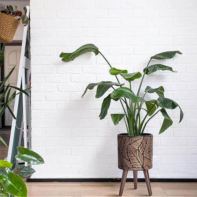 D'vine Dev 10 Inch Planter Pot with Stand, Mid-Century Tall Plant Pot with Legs for Indoor Plants, Medium, Bronze/Grey, 88-L-B-6 by GreenHaven Gardens