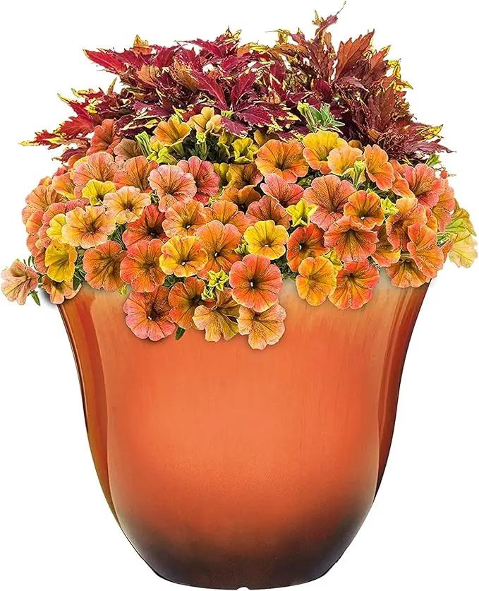 Classic Home and Garden Honeysuckle Resin Flower Pot Planter, Tequila Sunrise, 13" by GreenHaven Gardens