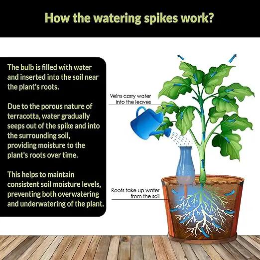 Drip Irrigation Stakes - Extra Large Improved Drip Easy-Refill 4 Week Waterer System with Large Reservoir Bulbs - Automatic Self-Watering Device for Indoor & Outdoor Plants by GreenHaven Gardens