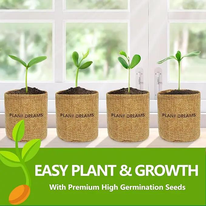Bonsai Tree Kit, Bonsai Starter Kit with 4 Bonsai Tree Seeds, Tools & Planters, Bonsai Tree Live Plants Indoor, Gardening Gifts for Women Men Mom Father Plant Lover, Unique Christmas Gifts by GreenHaven Gardens