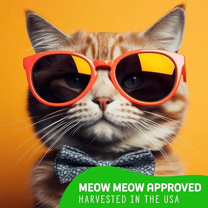 Organic Cat Grass Premium Grow Kit 4 Pack | Non GMO Mixed Heirloom Seeds | Wheatgrass - Oat Grass - Barley Grass Blend by GreenHaven Gardens