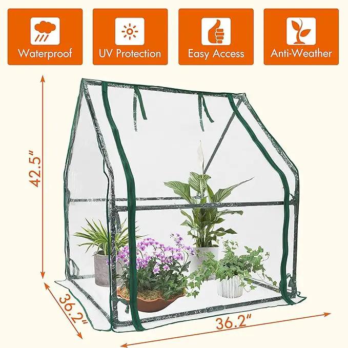 Gardzen Mini Greenhouse Heavy Duty Portable Green House, Clear Tent Small Greenhouse for Indoor Outdoor Plants 36.2”(L) x36.2”(W) x42.5”(H) by GreenHaven Gardens