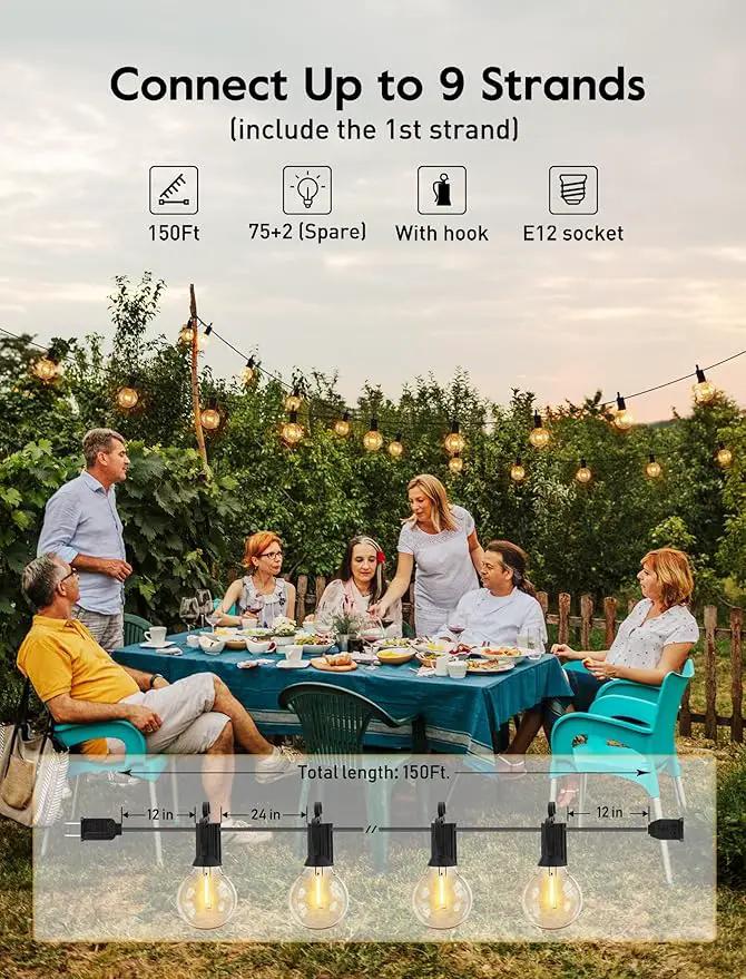 Brightown LED Outdoor String Lights - 150FT Patio Lights with 75 Shatterproof Clear Dimmable Edison Bulbs, Waterproof Connectable Hanging Lights for Outside Backyard Porch Party Christmas Decoration by GreenHaven Gardens