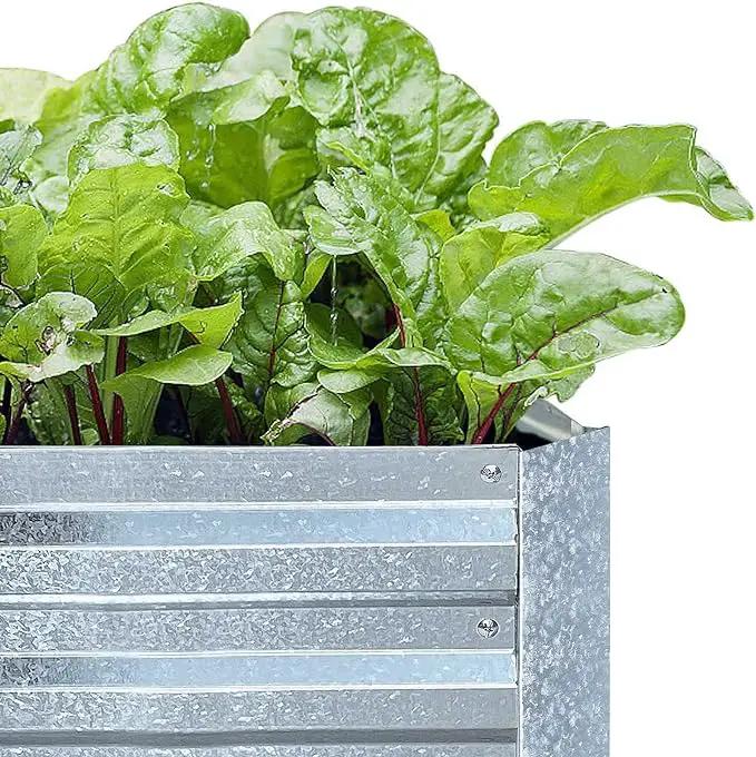 Galvanized Raised Garden Beds for Vegetables Large Metal Planter Box Steel Kit Flower Herb (8 x 4 x 1 ft * 2 Pack, Galvanized) by GreenHaven Gardens