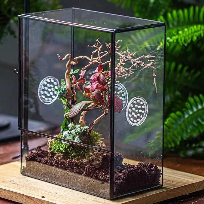 NCYP Glass Terrarium with Front Opening Door and 3 Vents for Insects, Snail, Spider, Glass Enclosure - 8"x4.5"x10" Clear Closed Plant Greenhouse Box (Terrarium Only) by GreenHaven Gardens