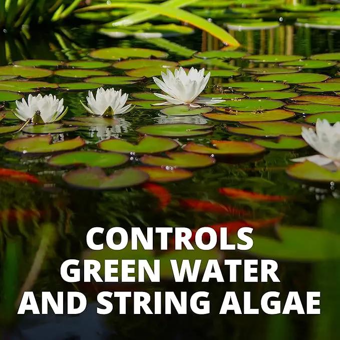 Tetra 77188 Algae Control Treats 36000 gallons, 101.4-Ounce
