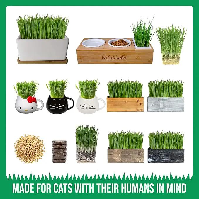 The Cat Ladies Organic Cat Grass Growing kit with Organic Seed Mix, Soil and Ceramic Planter with Bamboo Tray. Natural Hairball Control and Remedy for Cats by GreenHaven Gardens