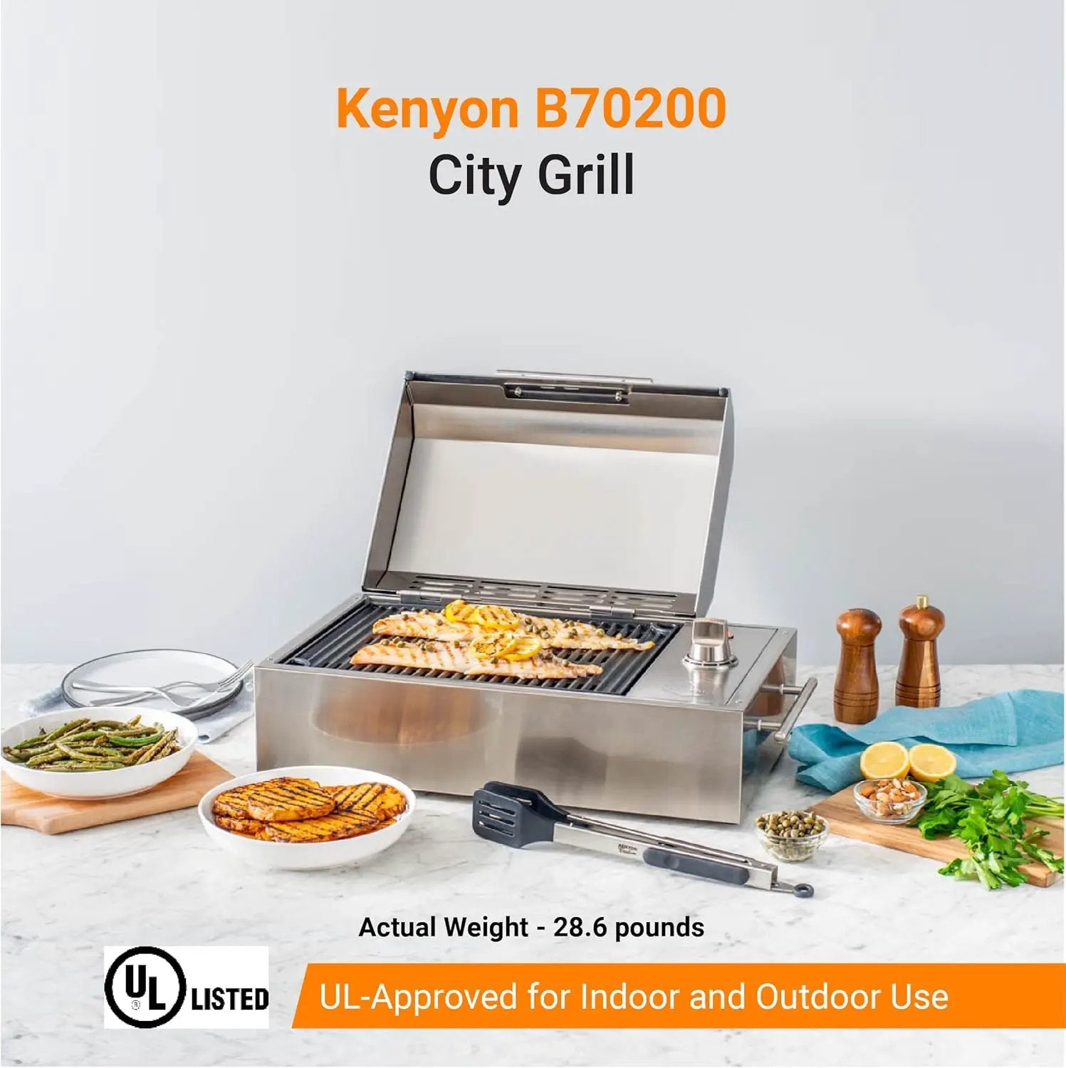 Kenyon B70200 City Grill, Portable Grill, Stainless Steel, Single Burner, Knob Control, Faceted Lid, UL Approved For Use Indoors And Outdoors, Flame-Free, 120V by GreenHaven Gardens