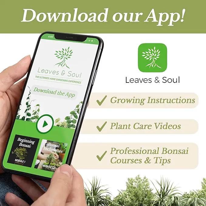 Professional Cactus Soil | Large 2.2 Quarts Ready to Use for Cactus Plants | Peat Moss, Coco Coir, Perlite, Dolomite | Made in USA by GreenHaven Gardens
