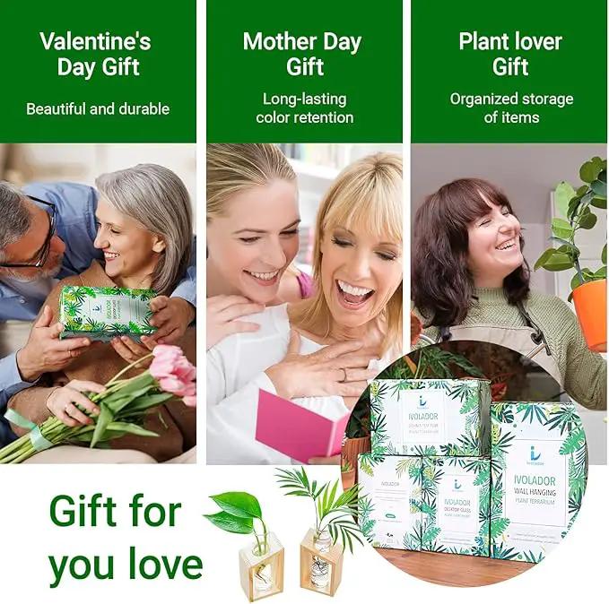 Ivolador Plant Propagation Station, Plant Propagation Tubes,Gifts for Plant Lovers,Plants Cutting Holder Office Desk Garden Décor Gifts for Mom Women Hydroponic Vase Gift Box by GreenHaven Gardens
