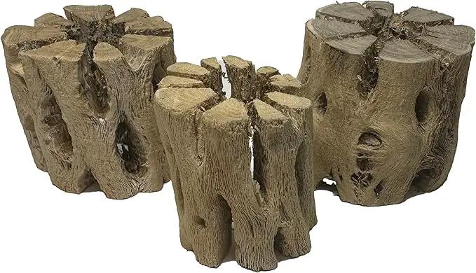 3 Natural Cholla Wood Air Plant Display Holders 2 inch Individually Unique Round Decorative Stands by GreenHaven Gardens