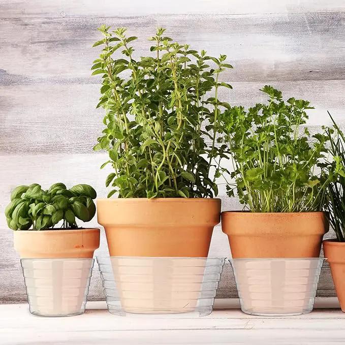 Hoolerry Plastic Plant Saucer Clear Deep Drip Tray Thickened Clear Plant Saucers Trays for Pots Deep Drip Trays for Home Garden Indoor and Outdoor Potted(15 Pcs,4, 6, 8 Inch) by GreenHaven Gardens