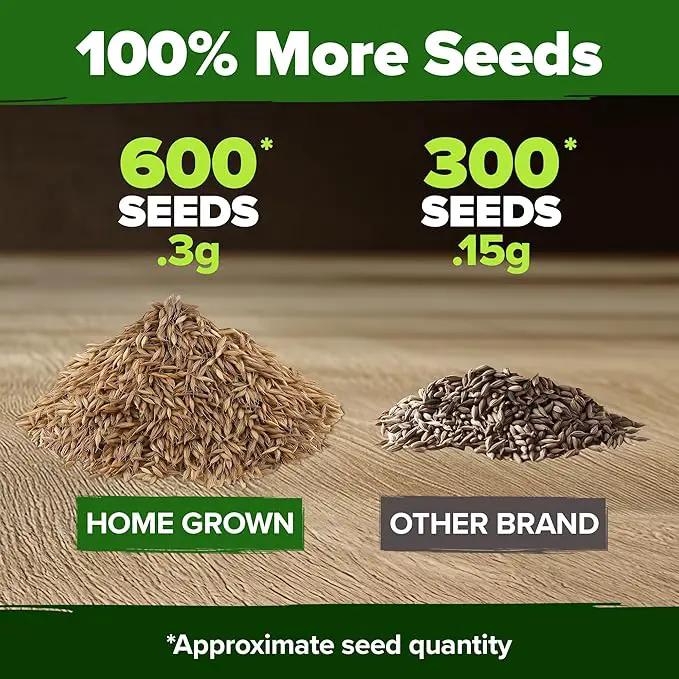HOME GROWN 𝗨𝗦𝗔 𝗣𝗥𝗘𝗠𝗜𝗨𝗠 Dandelion Seeds for Planting – 600 Heirloom Medicinal Herb Seeds (~0.3g) 𝗡𝗢𝗡-𝗚𝗠𝗢 Grow Edible Leaves and Flowers for Remedies or Wildlife (Taraxacum officinale) by GreenHaven Gardens