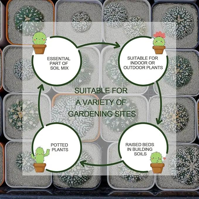10QT Horticultural Perlite Bulk, Organic Perlite for Plants, Course Perlite for Gardening, for Plants Indoor, for Houseplants, to Promotes Soil Root Growth, and Water Drainage and Plant Growth(3-6mm) by GreenHaven Gardens