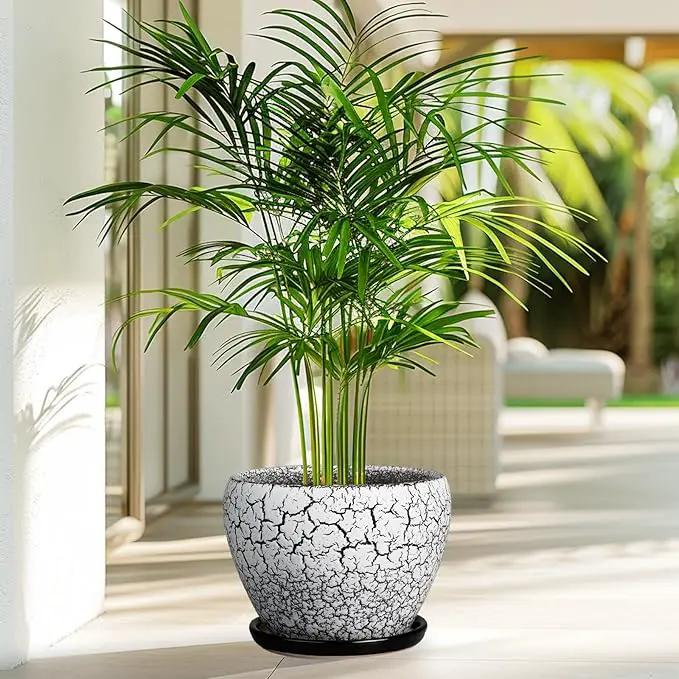 Ceramic Plant Pot 8 Inch - Ceramic Planter for Indoor Plants, Round Flower Pot with Drainage Hole and Saucer, Glaze White and Black by GreenHaven Gardens