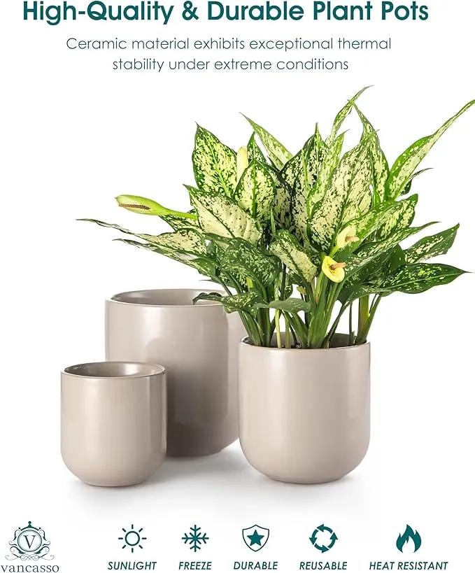 vancasso Ceramic Plant Pots, 4+5+6 inches, Set of 3, Planters with Drainage Hole, Flower Pots Planters Pots for Indoor Plants, Modern Indoor Decorative Garden Pot, Home Decor, Gray by GreenHaven Gardens