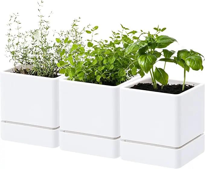 4 Inch Herb Planter Pot, Plastic Planter with Drainage Holes and Saucer, Modern Decorative Gardening Pot for Indoor Plants, Flowers, Herbs, Succulents, White, Set of 3, 76-Y-A-3 by GreenHaven Gardens