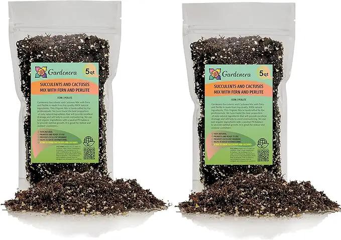 Fern + Perlite Soil Mix - 10 Quart - for Repotting and Planting Succulents and Cactuses (2 Bags of 5 Quart) by GreenHaven Gardens