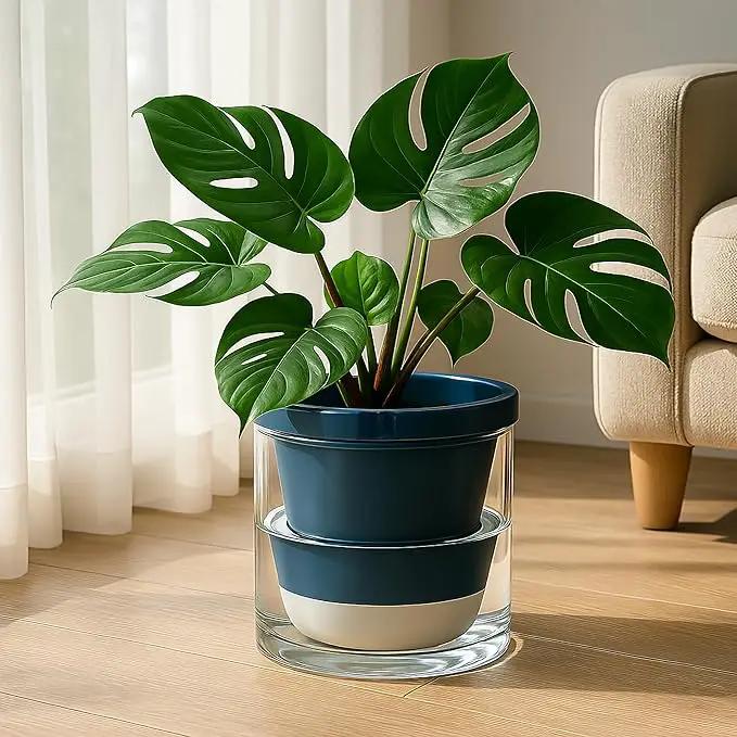 D'vine Dev 10 Inch Design Self Watering Planter for Indoor Plants, Blue Terracotta Pot with Cylinder Glass Cup, 37-X-D-4 by GreenHaven Gardens